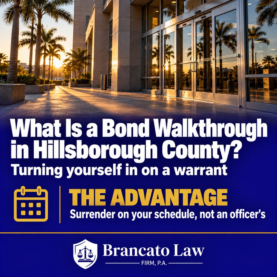Government building entrance in morning light, illustrating the bond walkthrough self-surrender process in Hillsborough County, from The Brancato Law Firm, P.A.